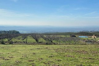 Terreno en venta en Candeleda
