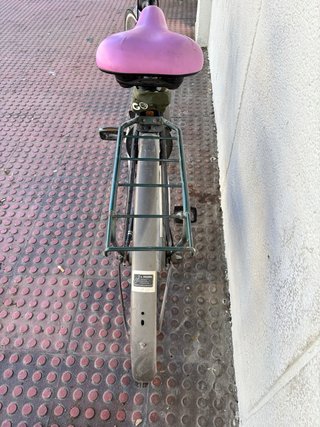 Bicicleta Holandesa Batavus. Gran tamaño.