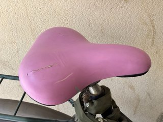Bicicleta Holandesa Batavus. Gran tamaño.
