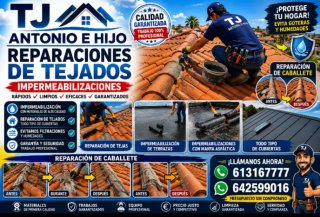 Reparaciones de tejados