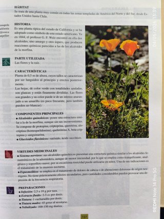 GRAN ENCICLOPEDIA de las PLANTAS MEDICINALES
