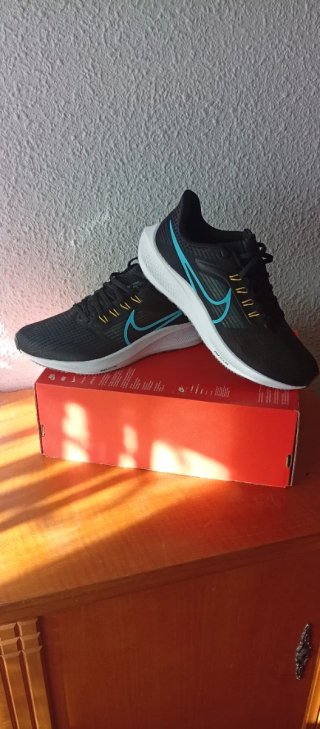 Nike Air Zoom Pegasus 39