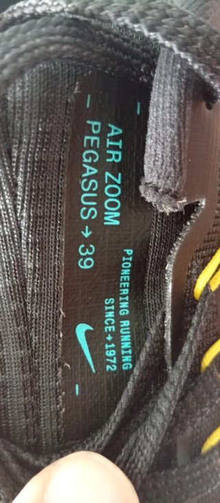 Nike Air Zoom Pegasus 39