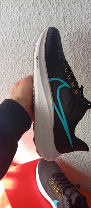 Nike Air Zoom Pegasus 39