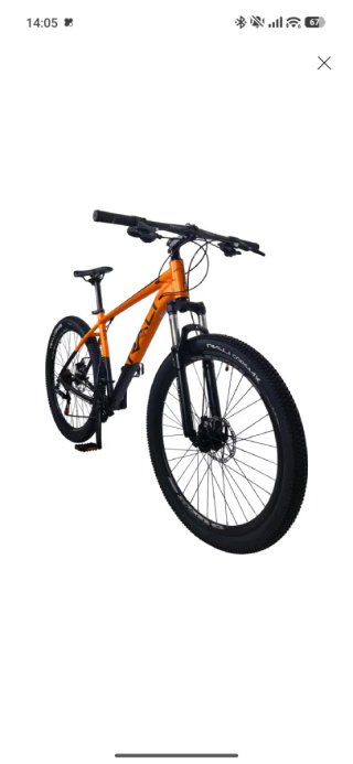 Bicicleta de Montaña RALI