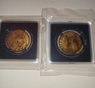 Due monete d'oro puro 24k Big Five