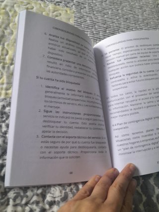 CIBERSEGURIDAD PARA PRINCIPIANTES: Guía básica....