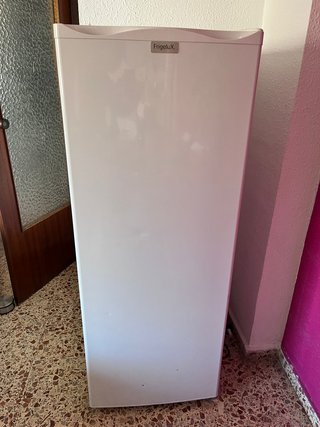 Congelador vertical FrigeluX