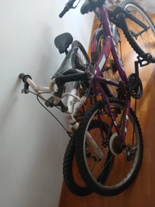 Bicicletas de montaña (3 unidades)