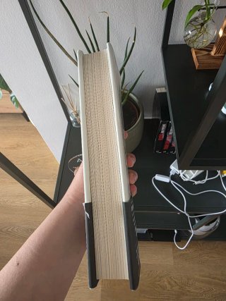 Trilogía IREMONGER 1: Los secretos de Heap House
