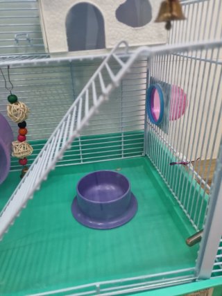 Jaula Hámster con Circuito y Accesorios
