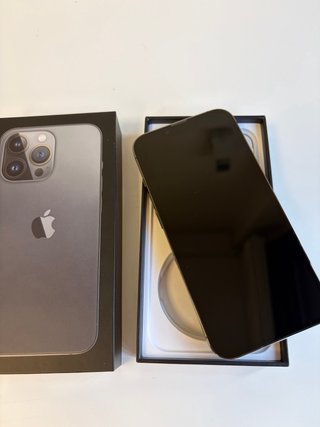 iPhone 13 Pro COMO NUEVO