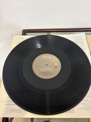 Vinilo Sting Nothing like the sun