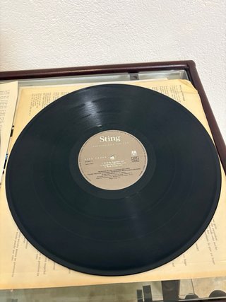Vinilo Sting Nothing like the sun
