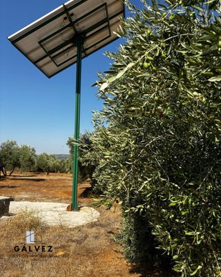 Olivar en venta en Bailén