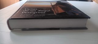 Cartas de un yogui peregrino.