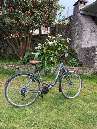 Bicicleta Paseo B-Pro