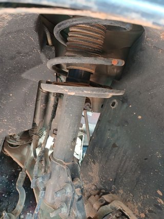 AMORTIGUADOR DELANTERO DERECHO Citroen C4 Berlina (09.2020->)