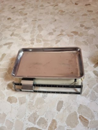 báscula de 10 kg