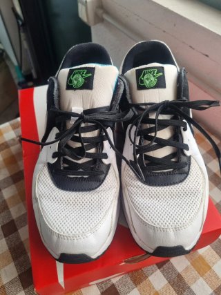 Nike air max excee