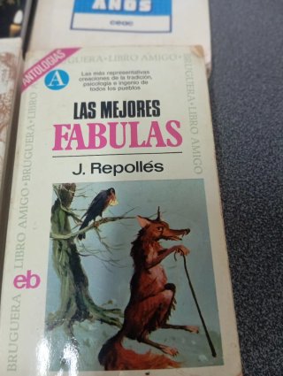 Lote 4 Libri Classici di Letteratura Spagnola