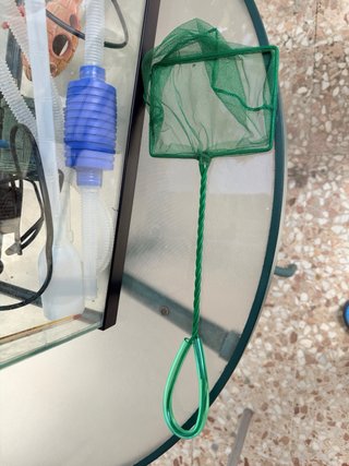 Kit Acuario Pecera 10L con Accesorios