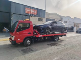 Grúa porta coches 3.500 kg con carnet B