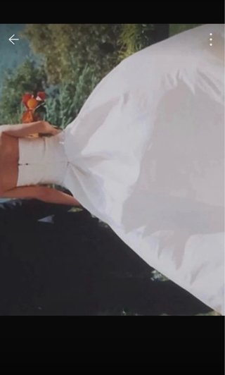 Vestido de novia Pronovias estilo princesa de tul