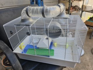 Jaula Hamster Completa con Tubos