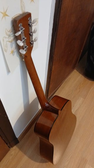 Guitarra Acústica Palmer