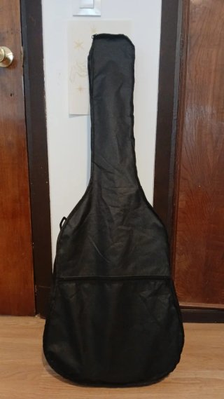 Guitarra Acústica Palmer