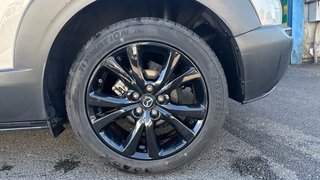Mazda CX-30 (2022) e-SKYACTIV X 2.0 137kW 186CV MT 2WD Homura