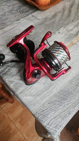 2 canne da surfcasting + 2 mulinelli