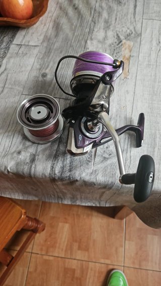 2 canne da surfcasting + 2 mulinelli