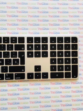 Apple Magic Keyboard Touch ID A2520 Negro