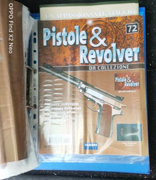 Pistole & Revolver