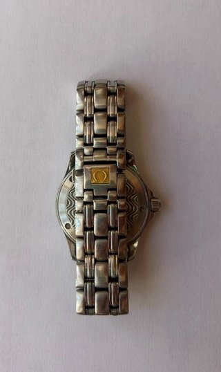 Omega Seamaster 120m
