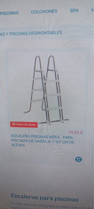 Piscina familiar rectangular se vende con escalera