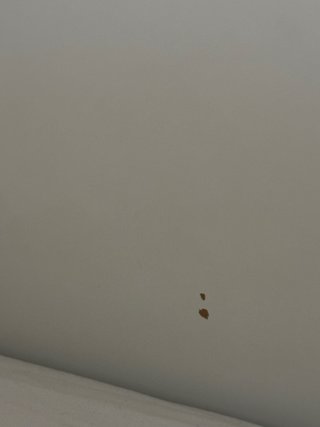 Cama Malm con cabecero + Colchón y Nórdico