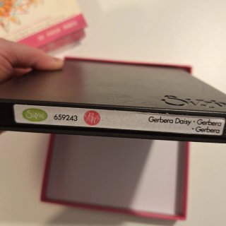 Fustella Sizzix Brenda Walton Gerbera Daisy