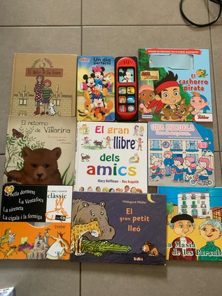 Lote de libros