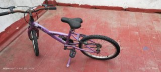 Bicicleta infantil morada