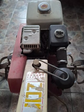 Motocultor Mollón Honda