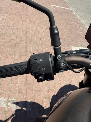 Benelli Leoncino 500 Trail Marrón