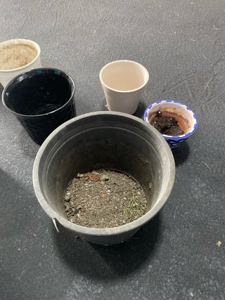 Lote de tiestos variados