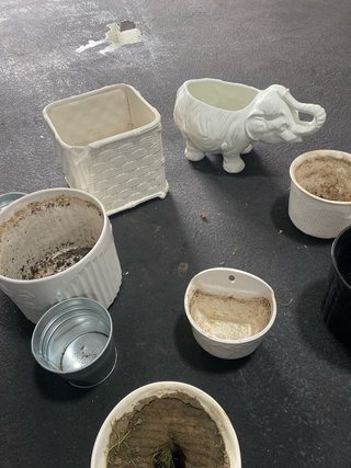 Lote de tiestos variados