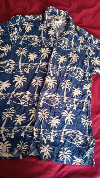 Camisa Verano Palmeras Azul y Blanco