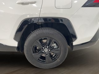 RAV4 2.5l 220H Business 4WD