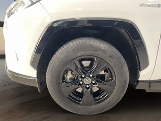 RAV4 2.5l 220H Business 4WD