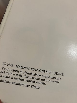 Essere Venezia